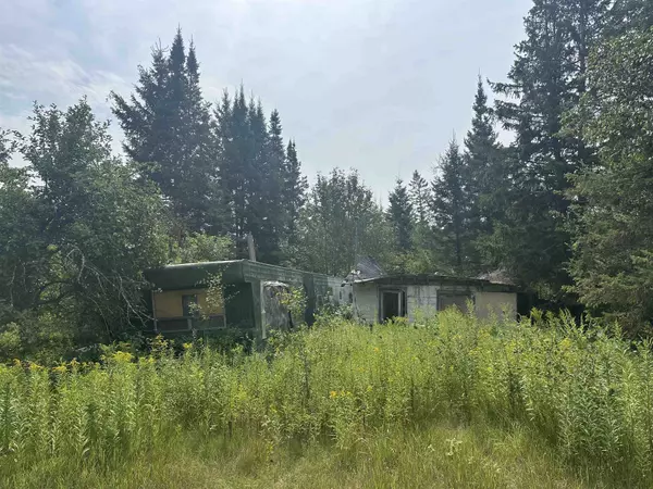 HWY 577, Daggett, MI 49821