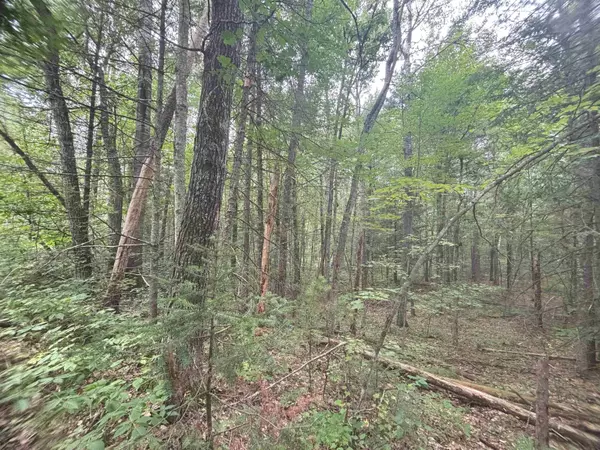 Keshena, WI 54135,N1714 HAWKS NEST PATH