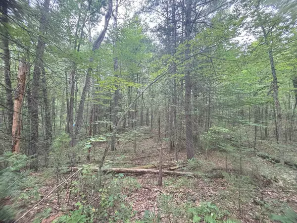 Keshena, WI 54135,N1714 HAWKS NEST PATH