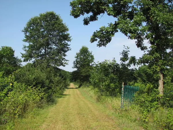 Waupaca, WI 54981,DAYTON RD