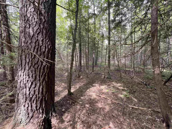 Wausaukee, WI 54177,BRUETTE RD #2