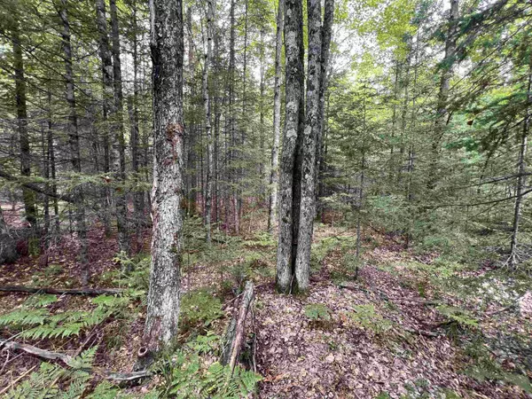 BRUETTE RD #3, Wausaukee, WI 54177