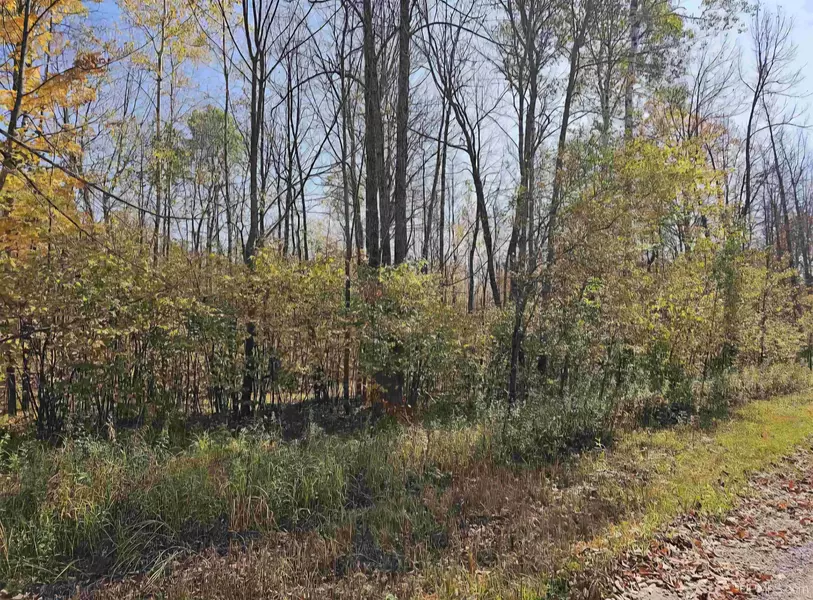 4098 SETTLEMENT RD, Long Lake, WI 54542-9555