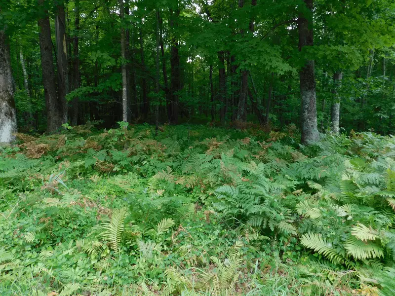 W SHAY LAKE LN, Pound, WI 54161