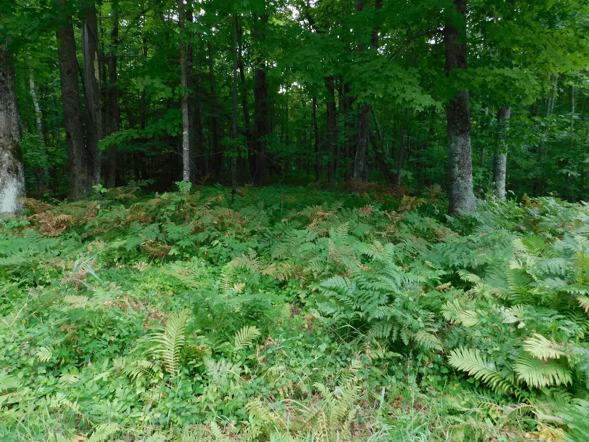 Pound, WI 54161,W SHAY LAKE LN