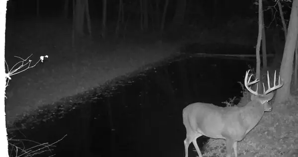 Bagley, WI 53801,KOECKE LN