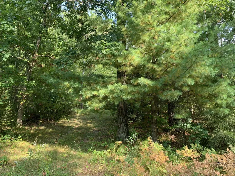 MARLWOOD DR, Wautoma, WI 54982