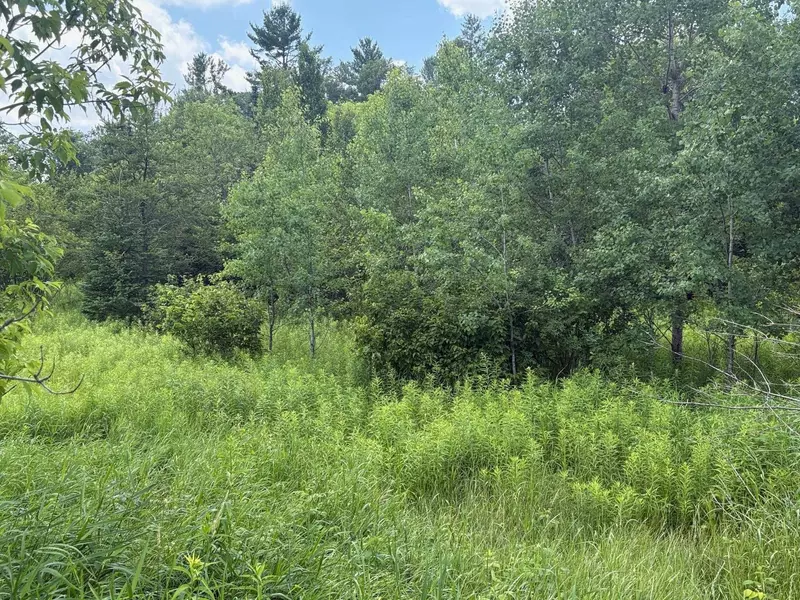 KAIKO RD, Wausaukee, WI 54177