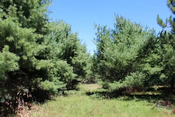 Armstrong Creek, WI 54103,HWY 8