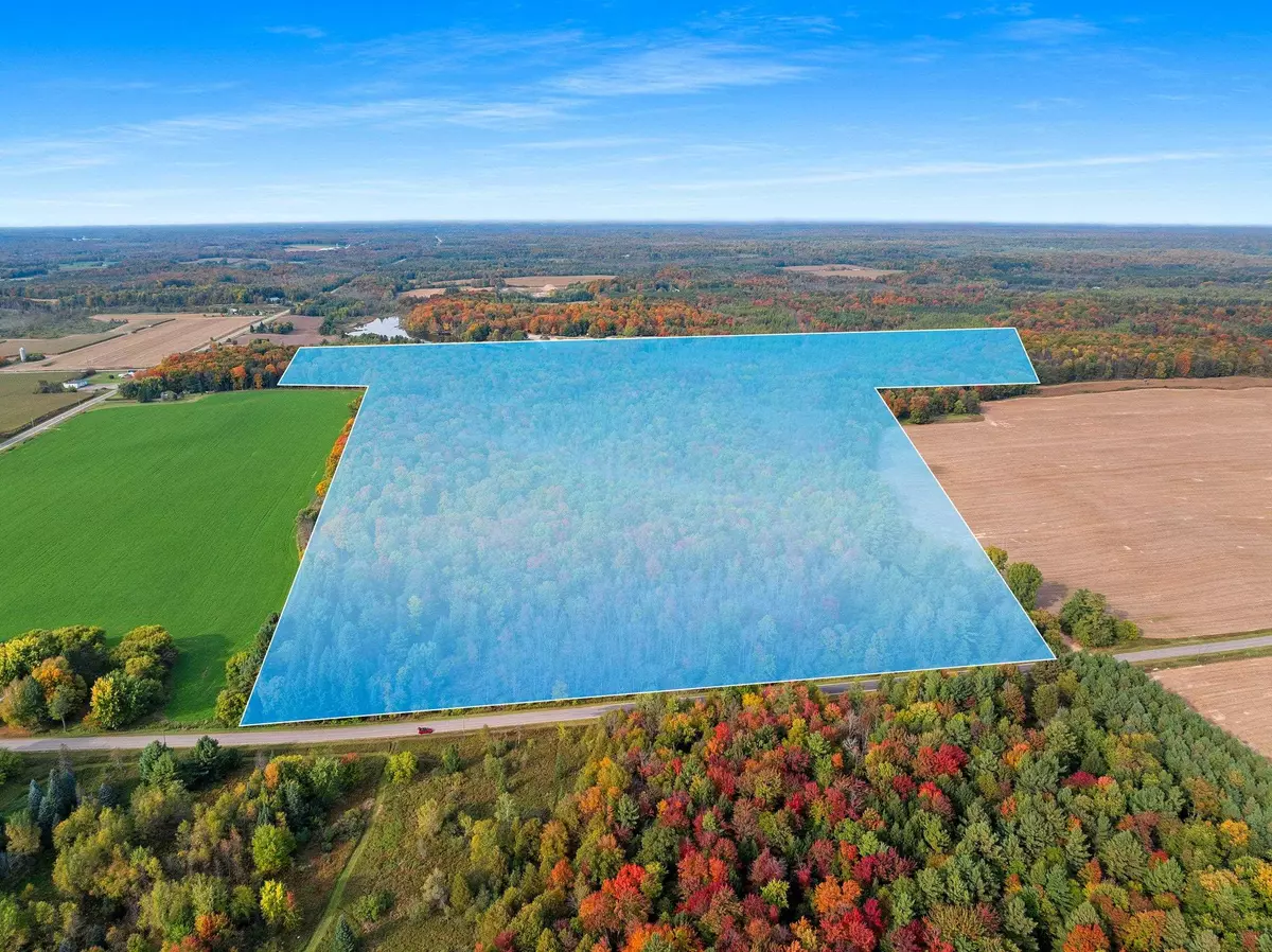 Bowler, WI 54416,15616 BLUEBERRY RD