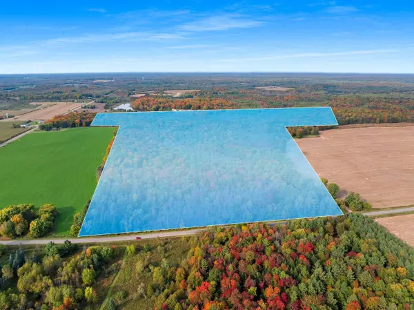 Bowler, WI 54416,15616 BLUEBERRY RD