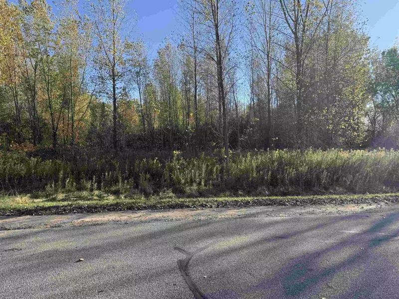 WILLOW WOOD ST #1, Shawano, WI 54929-0000