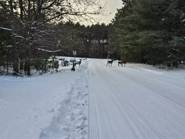 Waupaca, WI 54981,N2071 MARY JANE CIR