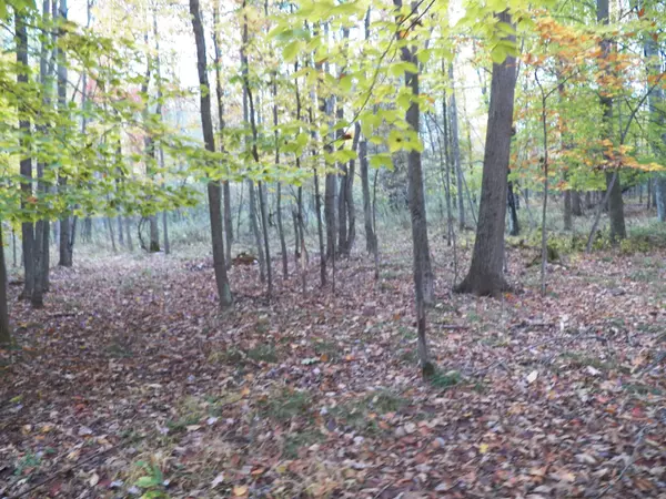 Lena, WI 54139-9241,HOYT RD