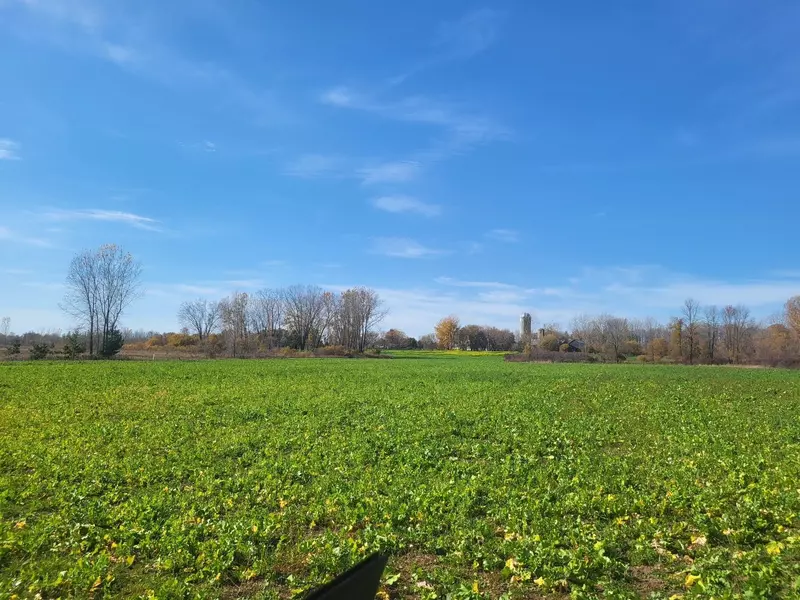 4446 MOLITOR RD, Lena, WI 54139