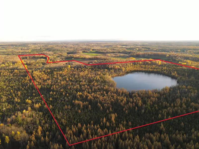 KILLDEER LN, Birnamwood, WI 54414