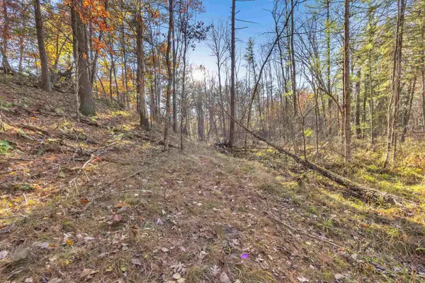 COUNTY RD GG, Iola, WI 54945