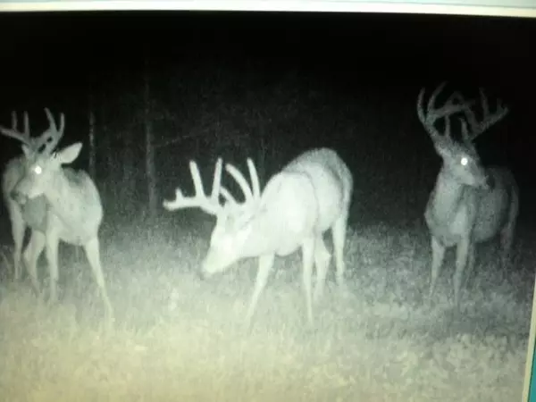 Iola, WI 54945,COUNTY RD GG