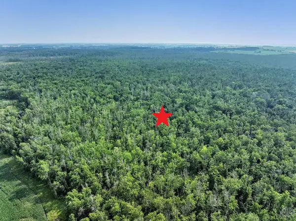 Algoma, WI 54201,BLACK ASH RD #140 a