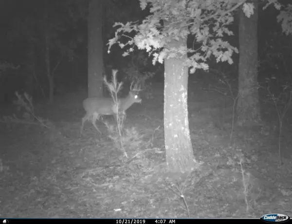 Almond, WI 54909,8752 HWY A