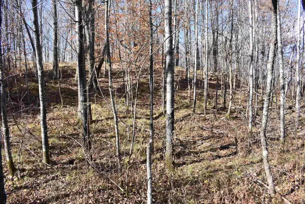 Athelstane, WI 54104,N13315 HARPER RD