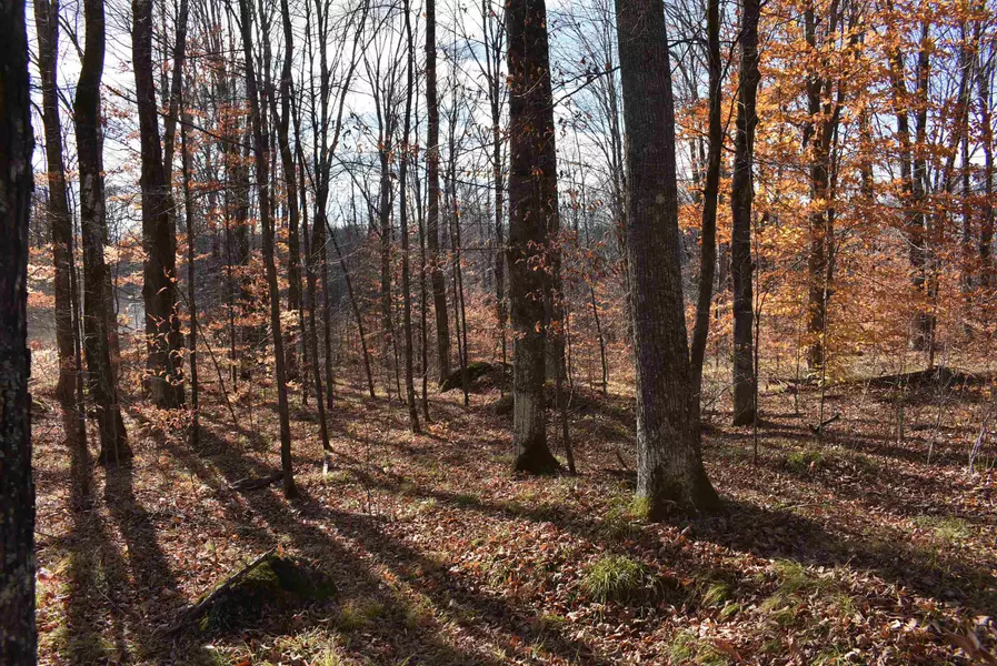 N13315 HARPER RD, Athelstane, WI 54104