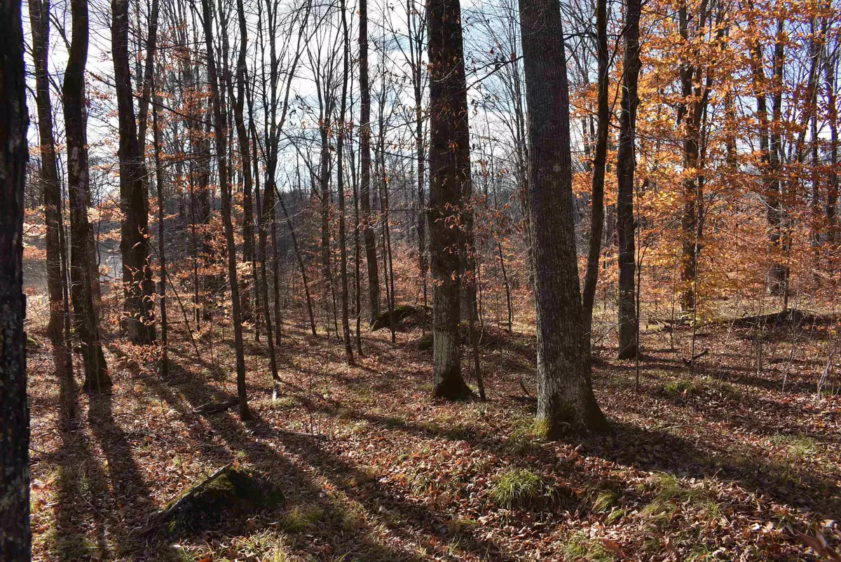 Athelstane, WI 54104,N13315 HARPER RD