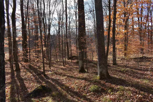 N13315 HARPER RD, Athelstane, WI 54104