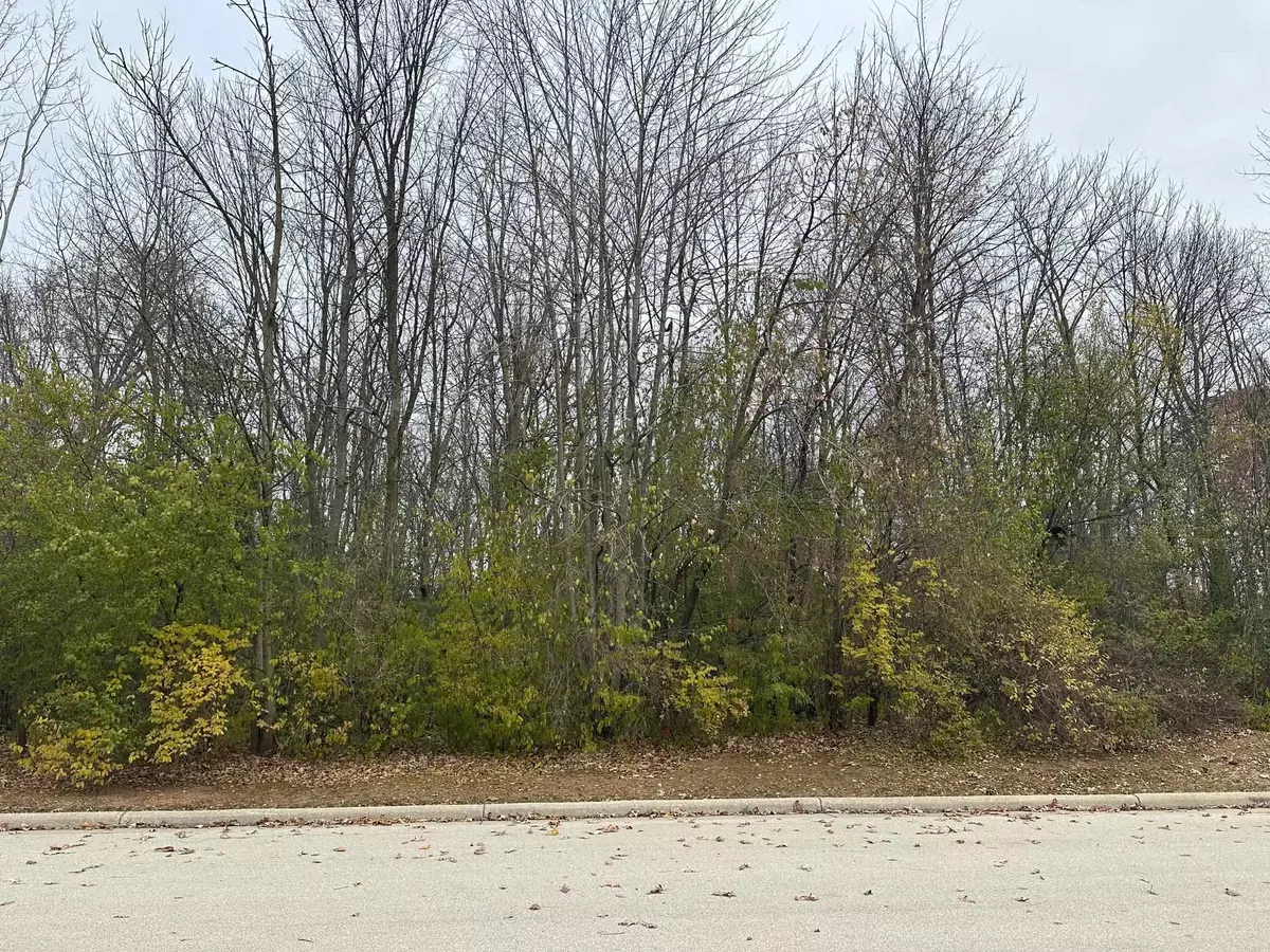 Wrightstown, WI 54180,SPICEWOOD CT #4