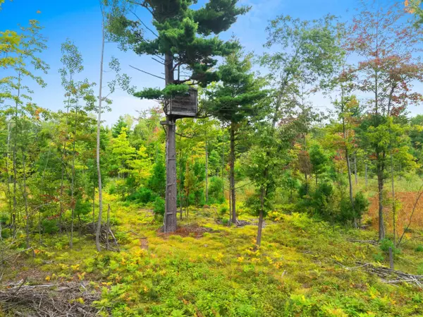 Marinette, WI 54143,CTY RD B