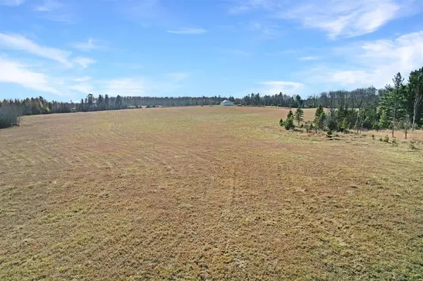 Stephenson, MI 49887,COUNTY ROAD 356