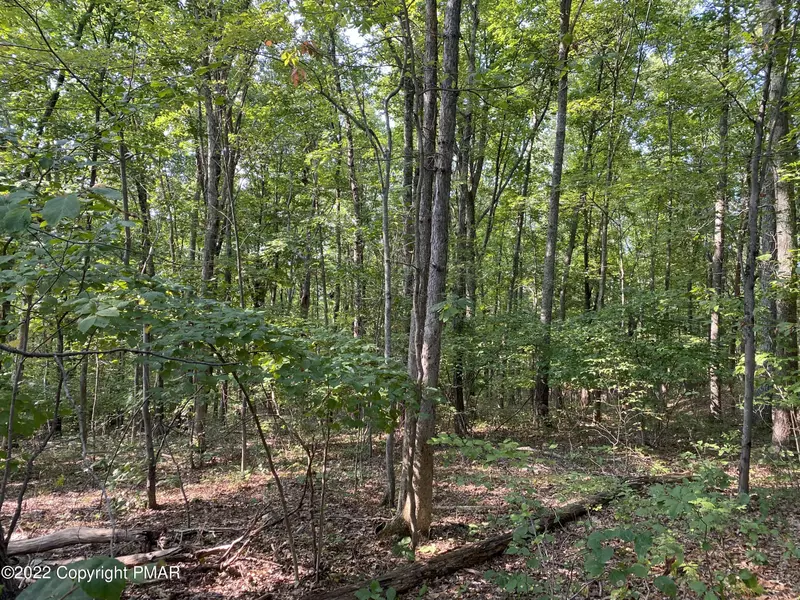 Lot 312 PINE CREEK DR, East Stroudsburg, PA 18302