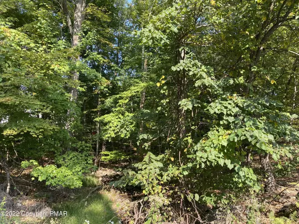 East Stroudsburg, PA 18302,Lot 257 TALLYRAND DR