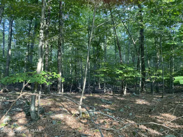 Canadensis, PA 18325,Lot 401 WILDWOOD LN