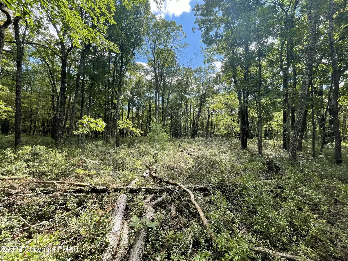 Jim Thorpe, PA 18229,Pear Ln, Lot 16