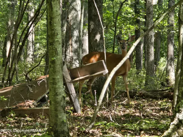 Canadensis, PA 18326,BLUE RDG