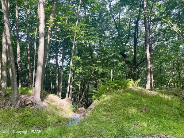 Effort, PA 18330,259 Sky View Te TER