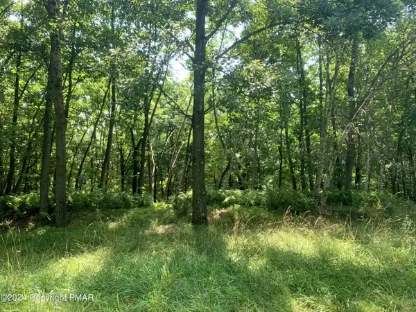 Effort, PA 18330,259 Sky View Te TER