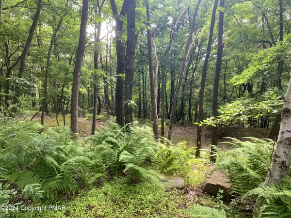 Effort, PA 18330,259 Sky View Te TER