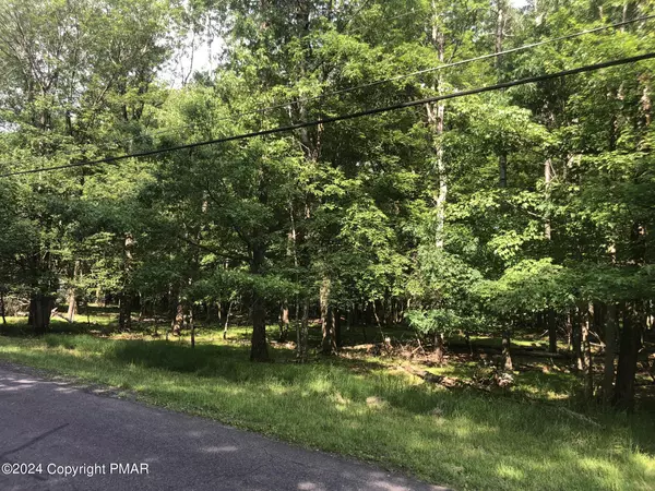 Blakeslee, PA 18610,Lot 147 Schochs Mill RD