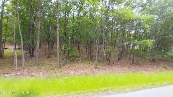 Effort, PA 18330,1584 N ROCKY MOUNTAIN DR