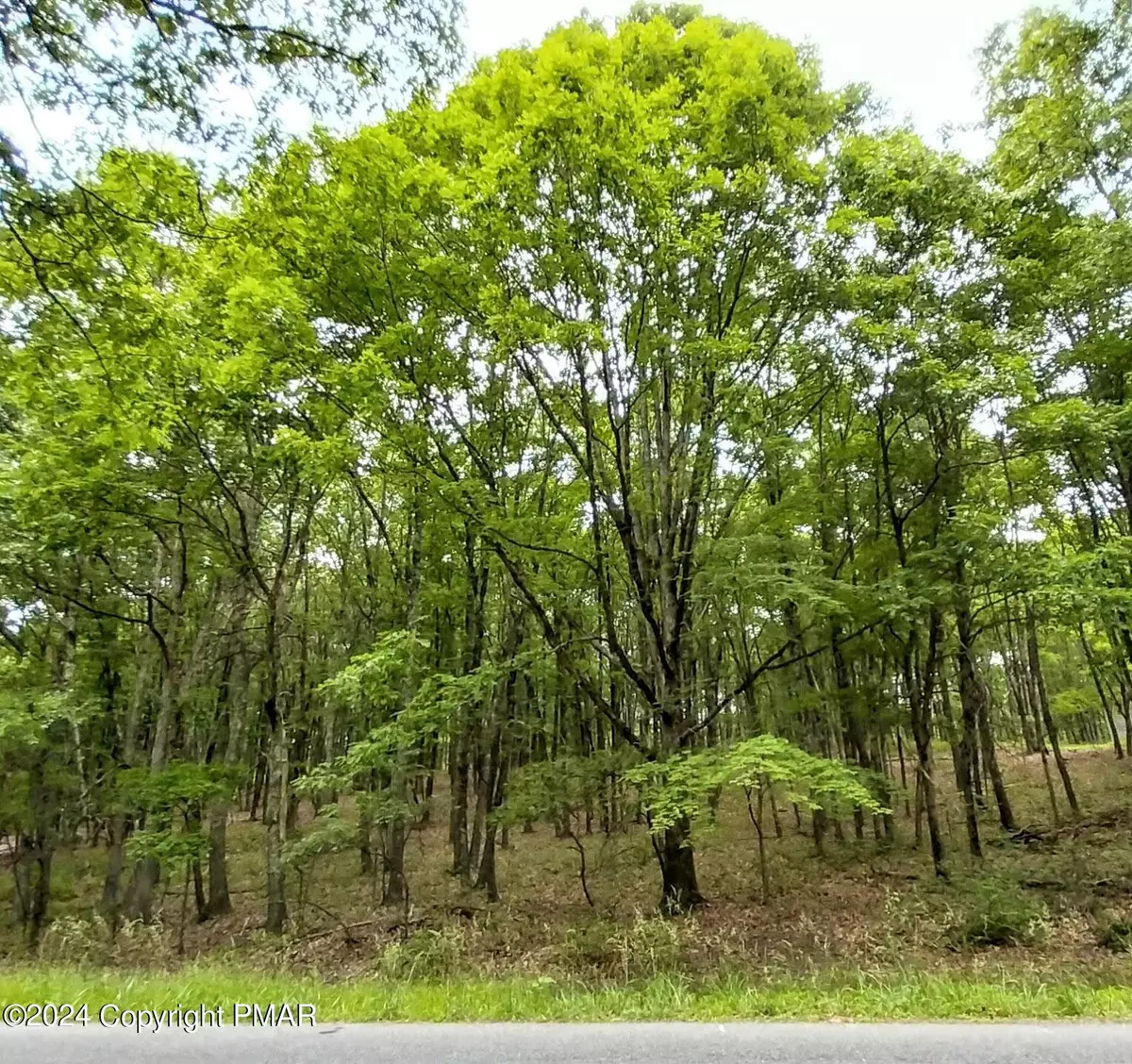 Effort, PA 18330,1584 N ROCKY MOUNTAIN DR