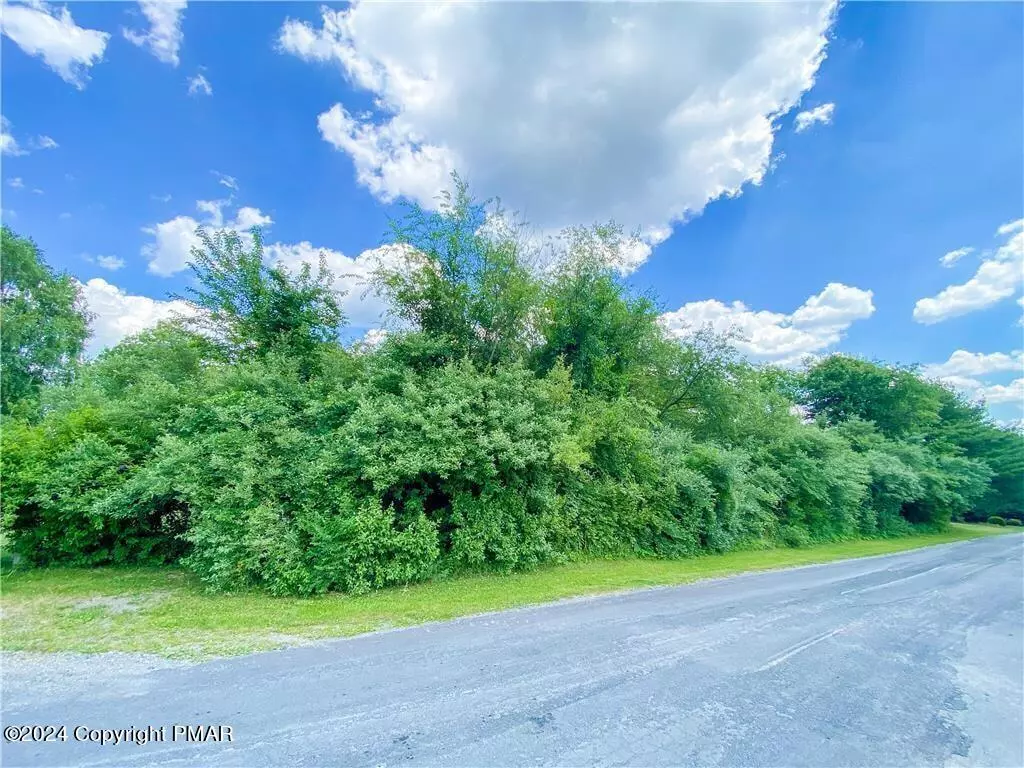 Lehighton, PA 18235,Lot 58 Lakeview DR