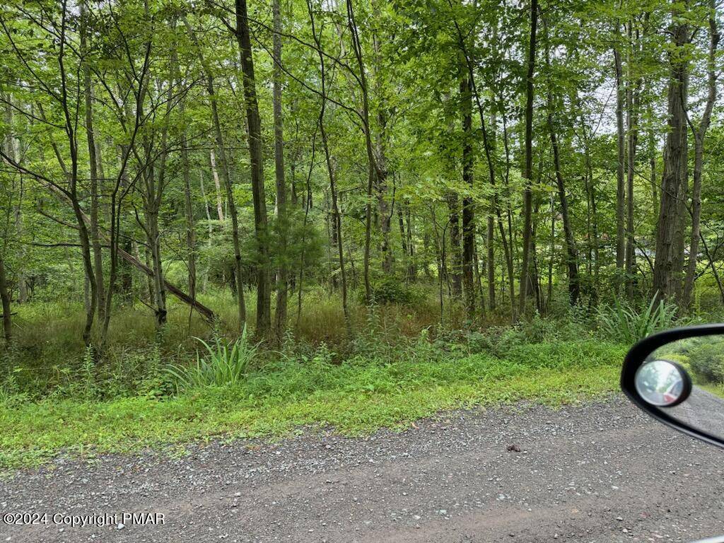 Pocono Lake, PA 18610,Rocky Swamp RD