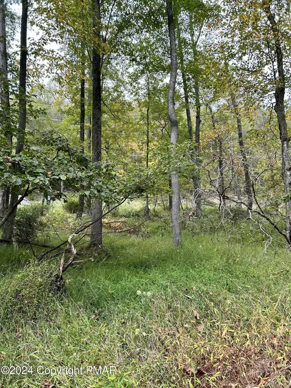 Bushkill, PA 18324,Pocono Blvd Lot 33