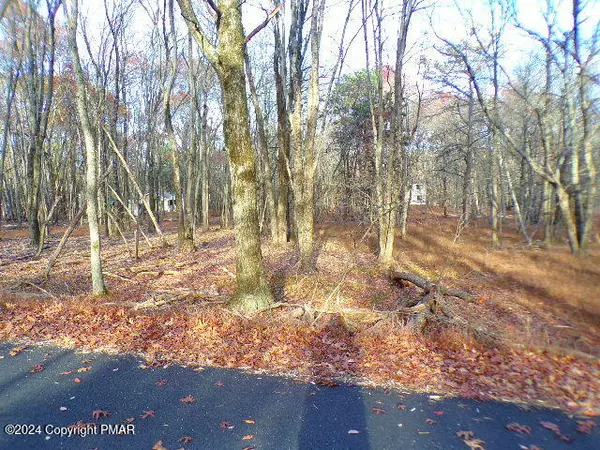 Albrightsville, PA 18210,Lot 709A Wintergreen TRL