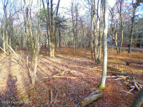 Albrightsville, PA 18210,Lot 709A Wintergreen TRL