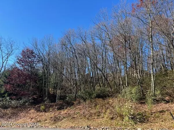 Tannersville, PA 18372,2235   Lot Camelback DR