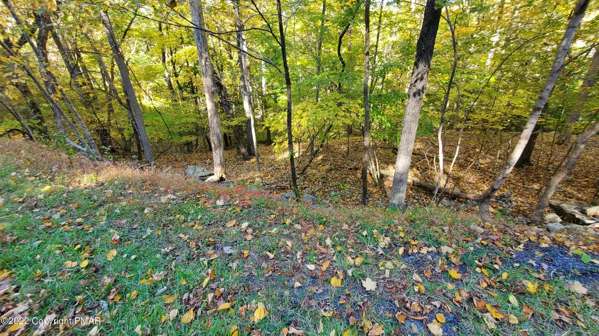 Bushkill, PA 18324,Lot 7 Decker RD