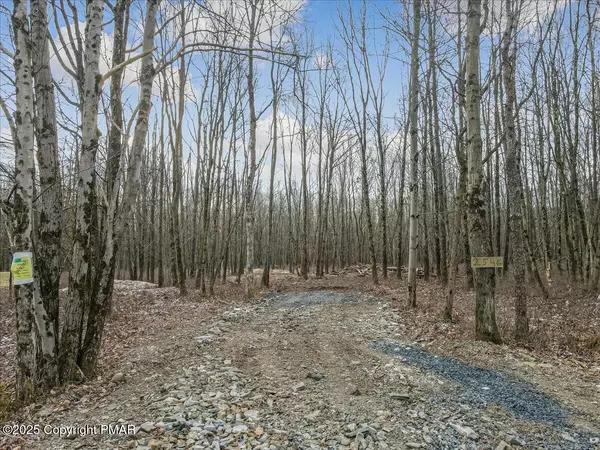 Albrightsville, PA 18210,2546 MV Pawnee TRL